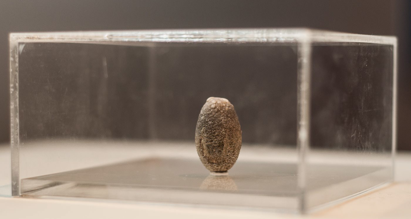 pedra (stone)