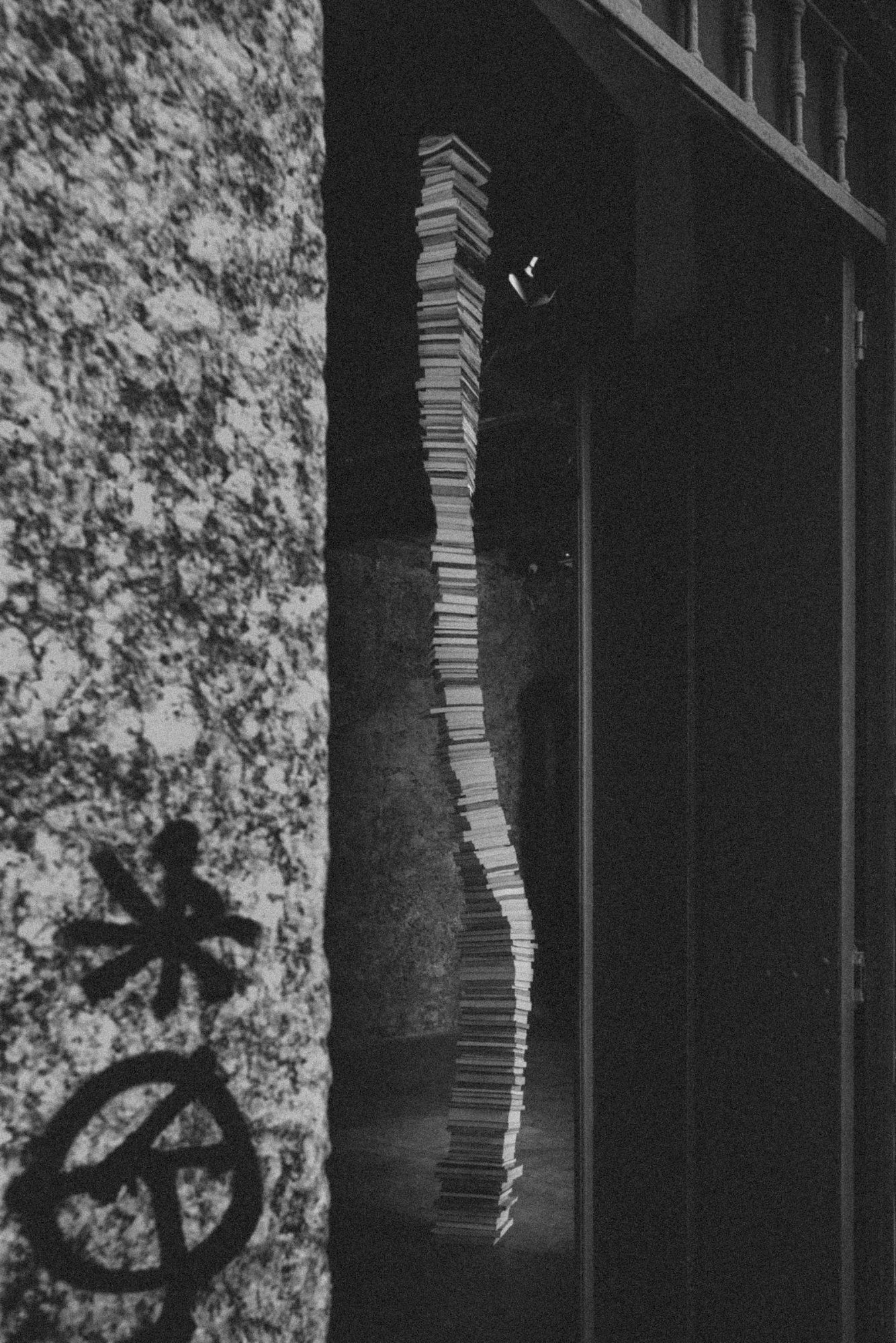 Xs Pensadorxs / Thx Thinkxrs, 2019