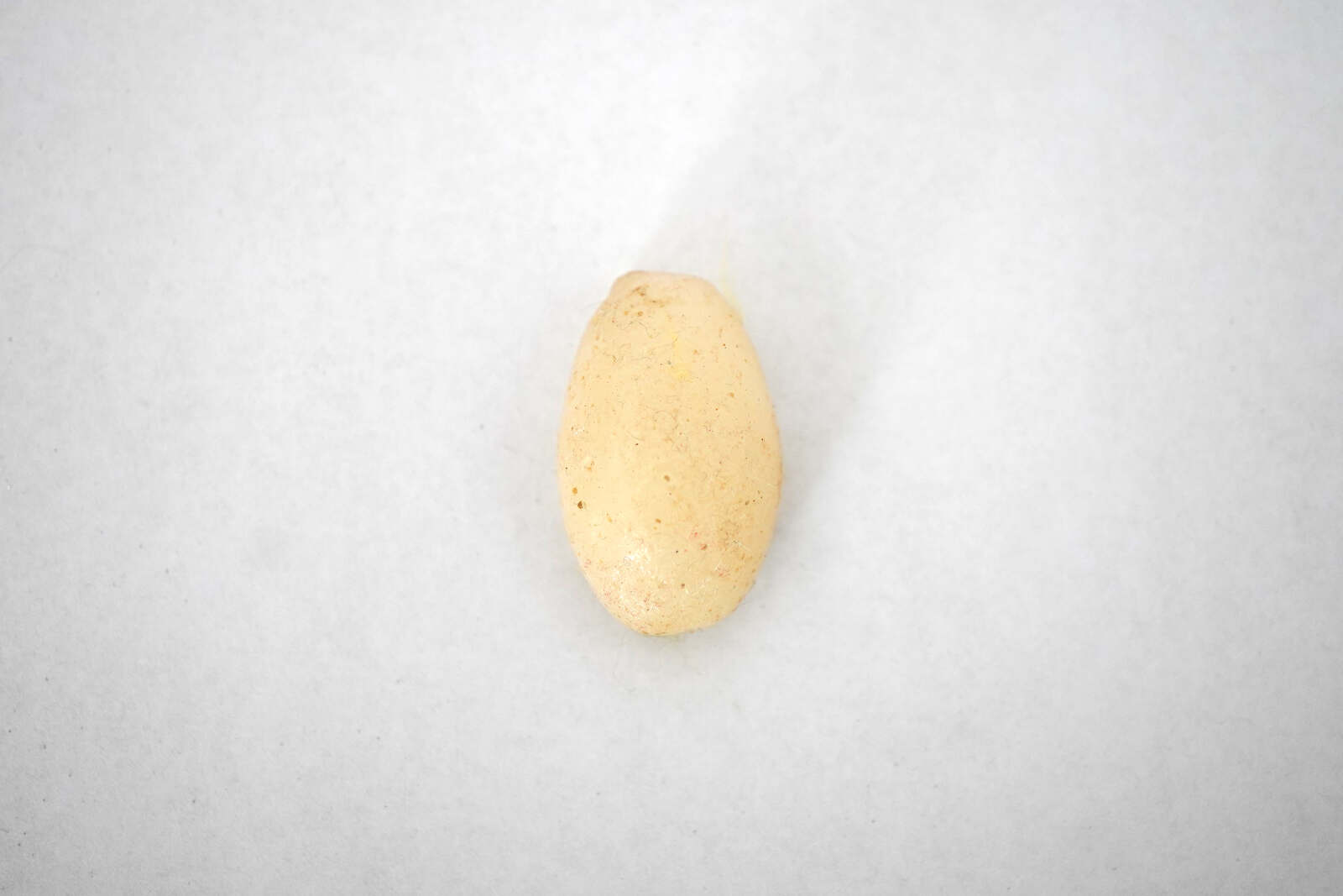 pedra de leite / milk stone