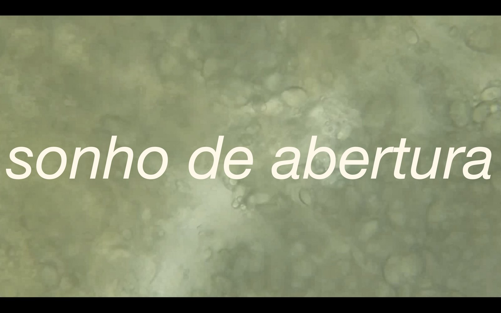 Poéticas do leite, políticas do céu / Poetics of milk, Politics of sky