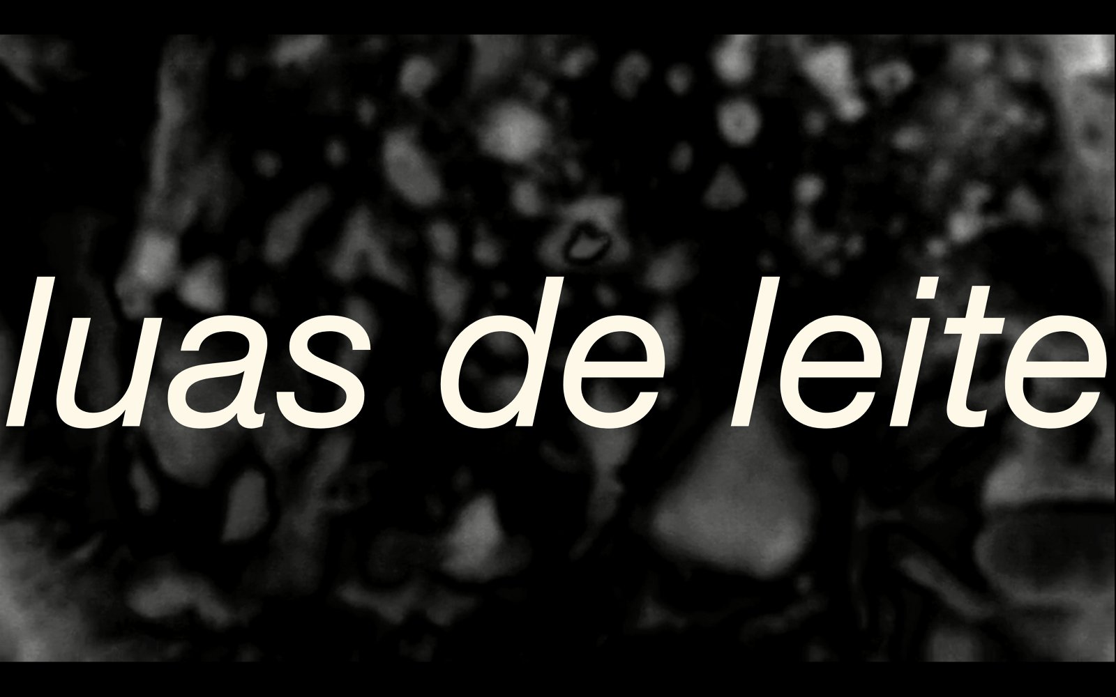 Poéticas do leite, políticas do céu / Poetics of milk, Politics of sky