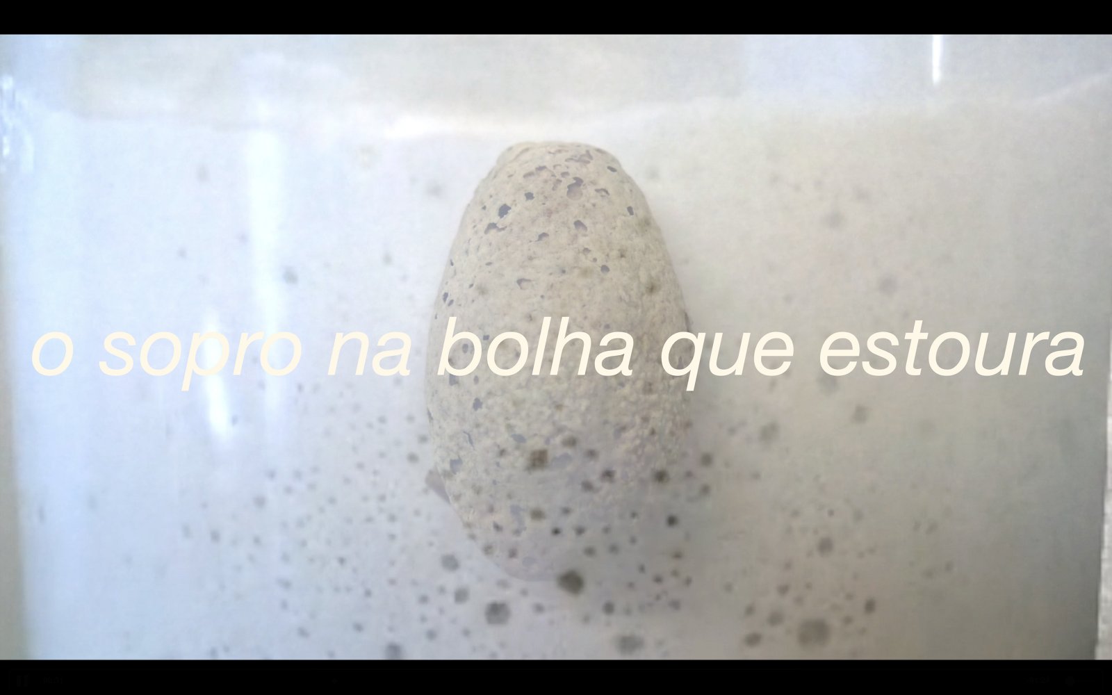Poéticas do leite, políticas do céu / Poetics of milk, Politics of sky