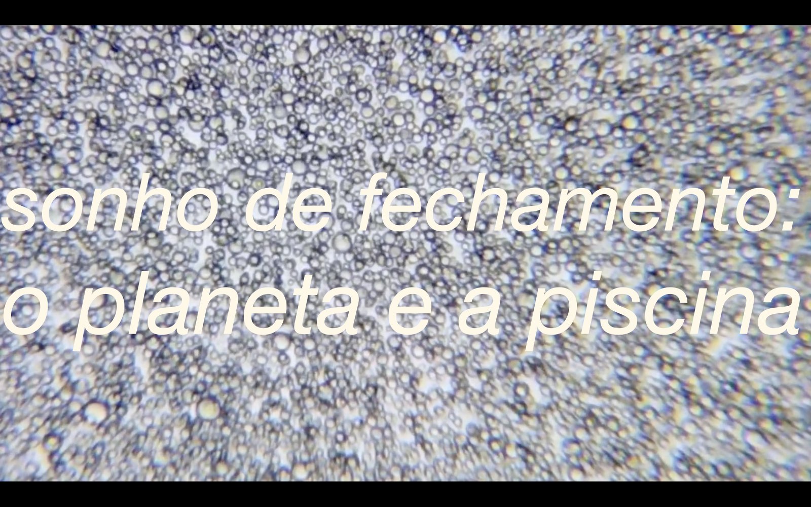 Poéticas do leite, políticas do céu / Poetics of milk, Politics of sky