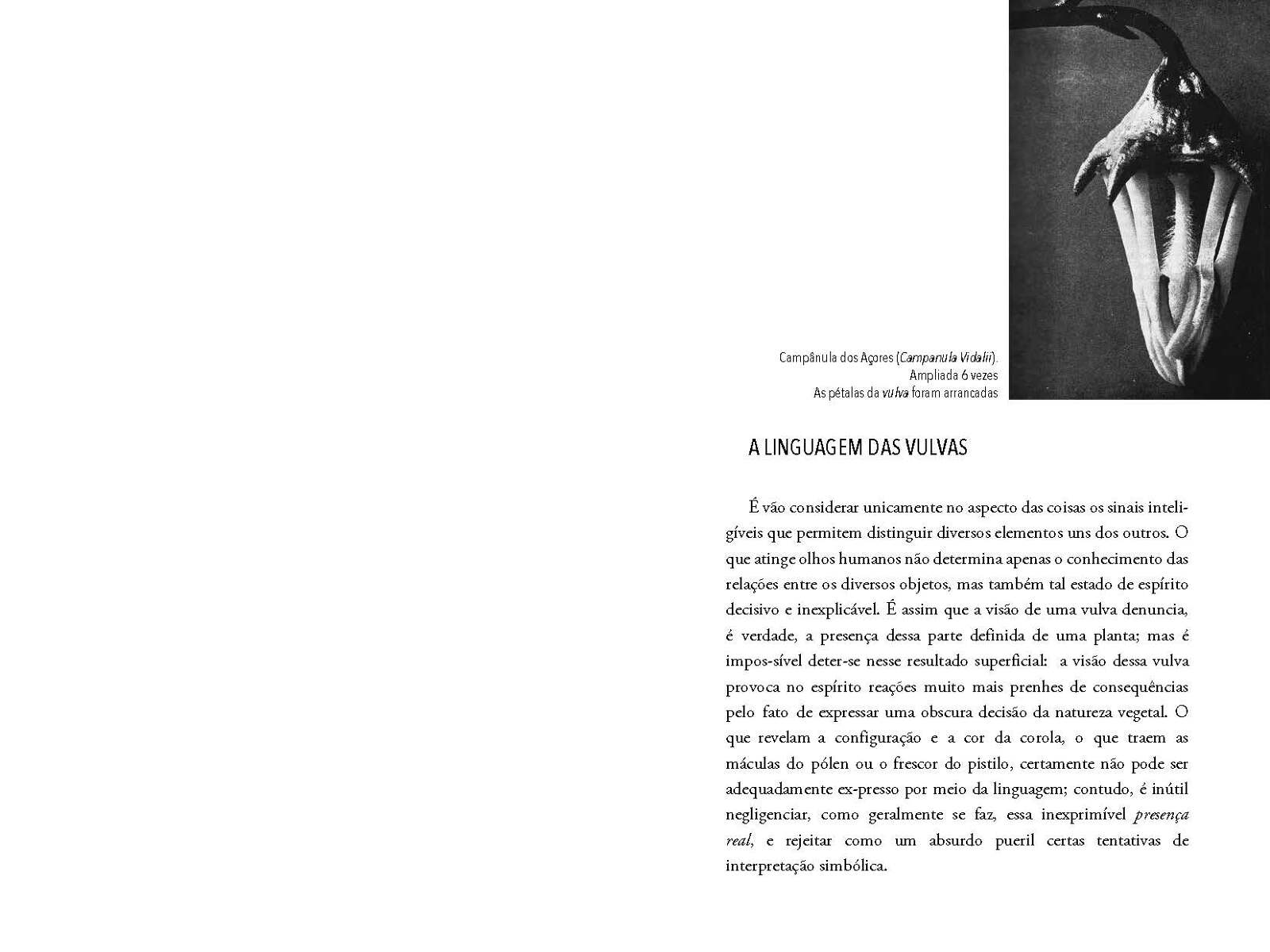 ignota secreta