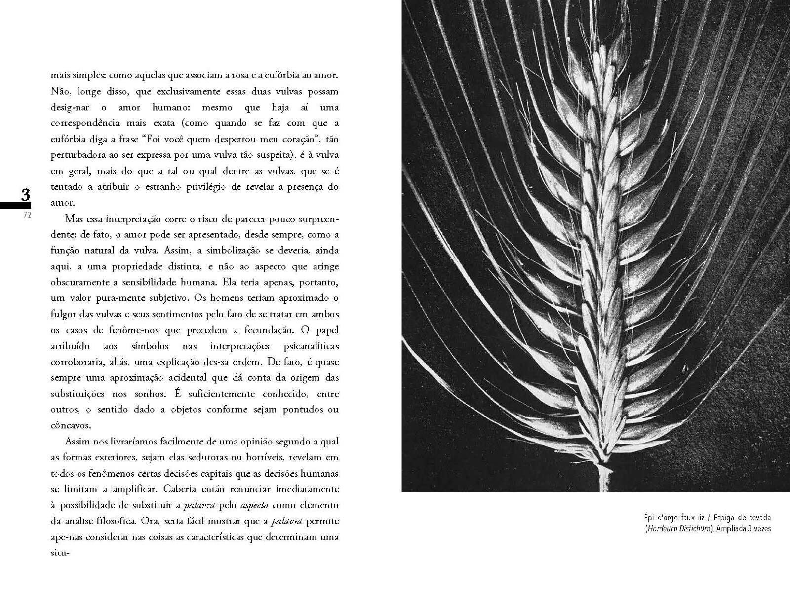 ignota secreta