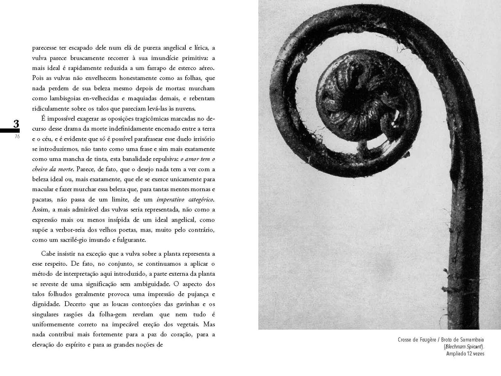 ignota secreta