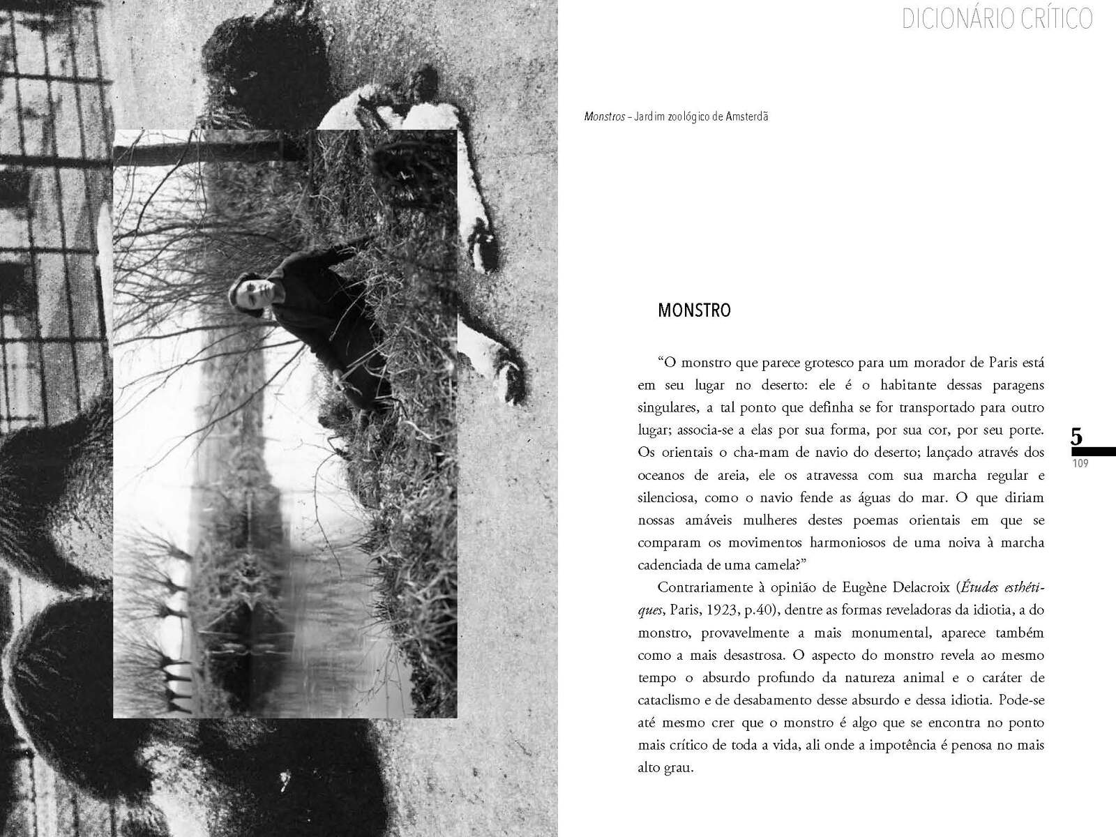 ignota secreta